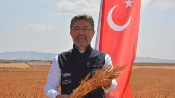 Bakan Yumaklı, yerli ve milli buğday çeşitlerinin hasadına katıldı!