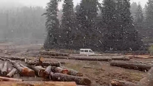 Bartın'ın yüksek kesimlerine mevsimin ilk karı düştü