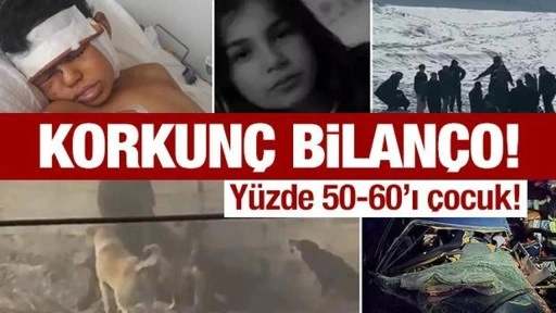 Başıboş köpek sorunu çığ gibi büyüyor! 1 ayda korkunç bilanço