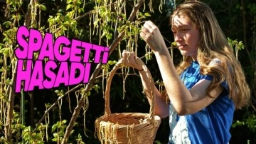 BBC'nin İzleyicileri Trollediği Spagetti Ağaçları Şakası