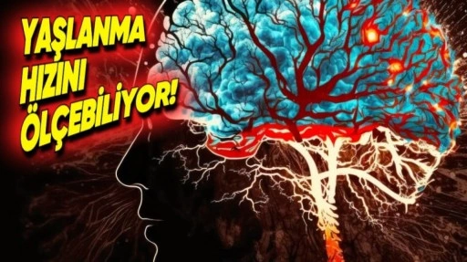 Beynimizin Yaşlanma Hızını Ölçen Yapay Zekâ Geliştirildi