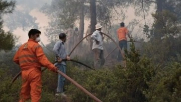 Bilecik ve Bursa'daki yangın kontrol altında