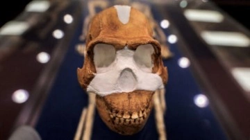 Bilinen En Eski Mezarın İnsan Yapımı Olmadığı Ortaya Çıktı