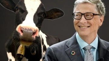 Bill Gates'ten Hayvan Yemi Şirketine Yatırım!