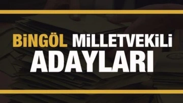 Bingöl milletvekili adayları! PARTİ PARTİ TAM LİSTE