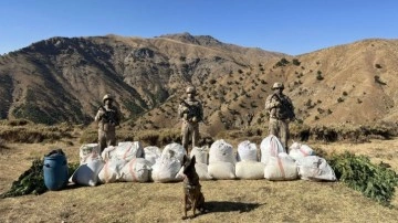 Bingöl'de 529 kilo 600 gram esrar ve 3 milyon 158 bin kök kenevir ele geçirildi!