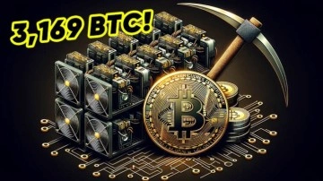 Bir Bitcoin Madencisi, Tek Başına Blok Ödülü Aldı