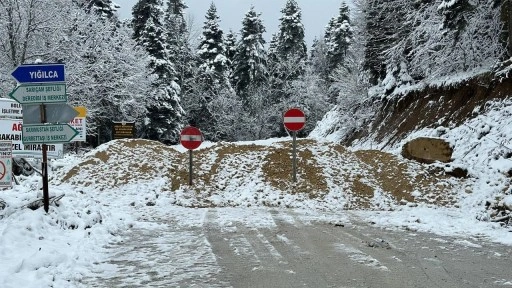 Bir kentte ulaşıma kar engeli!