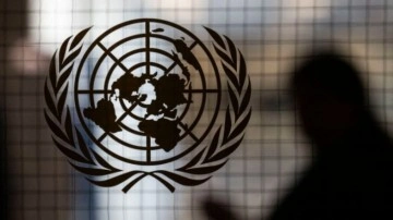 Birleşmiş Milletler Küresel İlkelerini Açıkladı