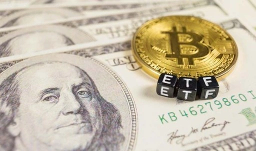 Bitcoin ETF'lerine net giriş sürüyor