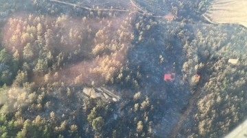 Bodrum'daki orman yangını 18 saat sonra kontrol altında
