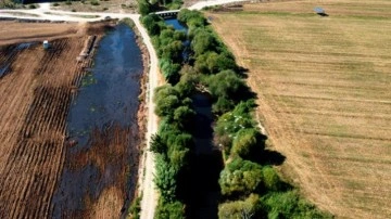 Bölgede korkutan görüntü! Belediye harekete geçti