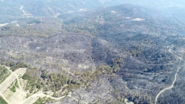 Bolu'da yangın nedeniyle tahliye edilen bazı vatandaşlar evlerine dönüyor