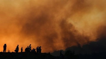 Bolu'daki orman yangınıyla ilgili 2 tutuklama