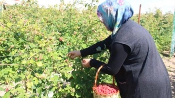 'Burada olmaz’ denileni yaptı! Kentte başka örneği yok