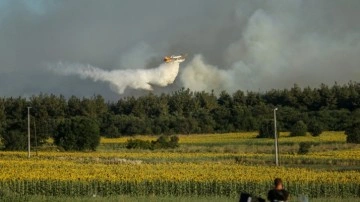 Bursa'da makilik alandaki yangın ormanlık alana sıçradı