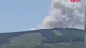 Bursa’da orman yangını: 3 helikopter müdahale ediyor
