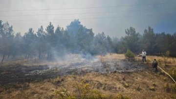 Bursa'daki orman yangını kontrol altına alındı