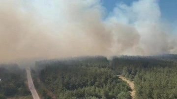 Bursa’daki orman yangınına soruşturma başlatıldı