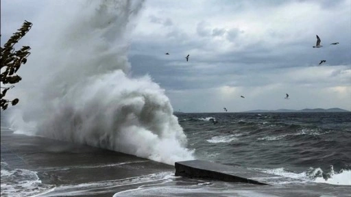 Bursa Deniz Otobüslerinin yarınki bazı seferleri iptal edildi