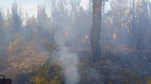 Çanakkale'daki orman yangını kontrol altına alındı