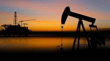 Çanakkale'de petrol aranacak