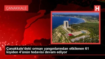 Çanakkale'deki orman yangınından etkilenen 61 kişiden 4'ünün tedavisi sürüyor