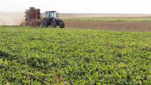 Çeltik üretiminde damla sulama, metan gazı salımını ve su sarfiyatını azaltıyor