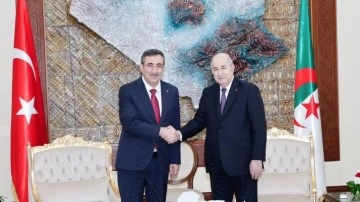 Cevdet Yılmaz, Cezayir Cumhurbaşkanı Tebbun ile görüştü