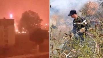 Cezayir orman yangınlarıyla mücadele ediyor: 26 kişi hayatını kaybetti