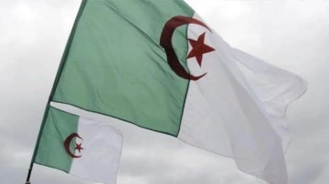 Cezayir'de yangınlara karşı teyakkuza geçildi