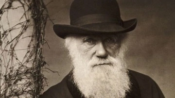 Charles Darwin'in Tüm Yazışmaları İnternette Yayınlandı