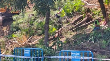 CHP'li belediyeden ağaç kıyımı!