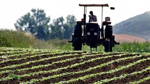 Çiftçilere yaklaşık 2,8 milyar lira destek ödemesi yarın yapılacak