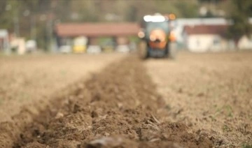 Çiftçinin girdi maliyeti yüzde 134,74 arttı