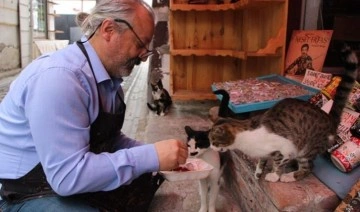 Ciğerle beslediği sokak kedilerine Zeki Müren dinletiyor