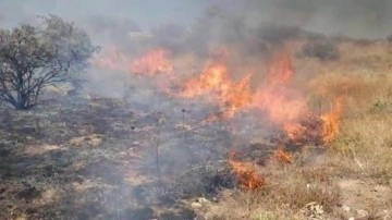 Cizre’de anız yangını ekili alanlara ulaşmadan söndürüldü