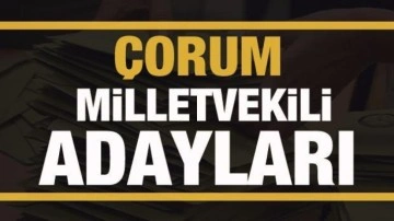 Çorum milletvekili adayları! PARTİ PARTİ TAM LİSTE