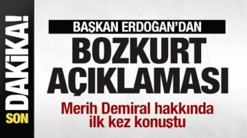 Cumhurbaşkanı Erdoğan'dan bozkurt açıklaması! Merih Demiral hakkında ilk kez konuştu