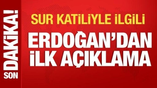 Cumhurbaşkanı Erdoğan'dan sur katiliyle ilgili açıklama