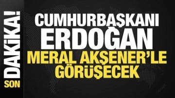 Cumhurbaşkanı Erdoğan Meral Akşener'le görüşecek
