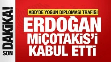 Cumhurbaşkanı Erdoğan Miçotakis'i kabul etti