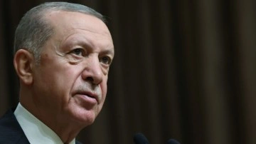 Cumhurbaşkanı Erdoğan, Somali Cumhurbaşkanı Mahmud ile görüştü