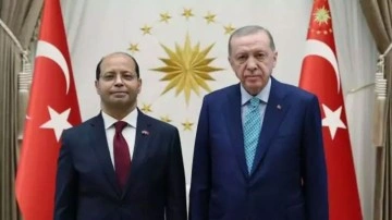 Cumhurbaşkanı Erdoğan'a, Elhamamy'den güven mektubu!