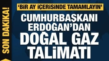 Cumhurbaşkanı Erdoğan&rsquo;dan doğal gaz talimatı: 1 ay içinde tamamlayın
