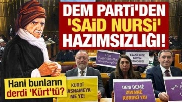 DEM Parti'den 'Said Nursi' hazımsızlığı! Hani bunların derdi 'Kürt'tü?