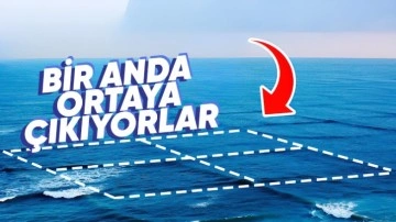 Denizde Gördüğünüz An Kaçmanız Gereken "Kare Dalgalar"