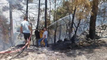 Denizli'de orman yangını!