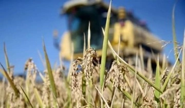 Deprem bölgesinde hasat uyarısı! Tarımı tehdit ediyor