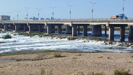 Dicle Nehri'nde korkutan görüntü! İnceleme başlatıldı